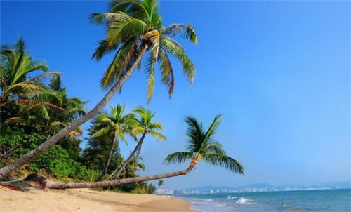 百变战鸡、炸鸡