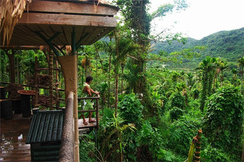 干果机加盟哪家好