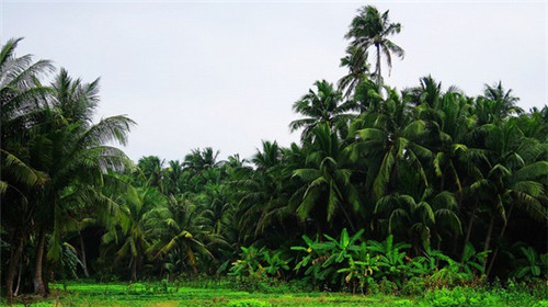 2025塑胶跑道加盟店网红项目有哪些