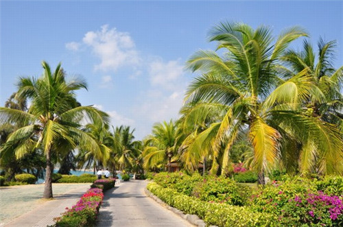 辣椒油加盟招商项目有哪些，辣椒油加工厂需要什么手续