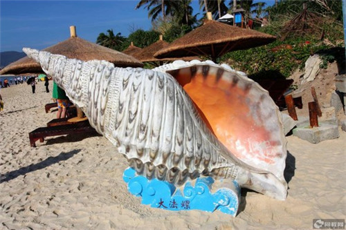 做野外活动相册用什么歌（户外活动相片）